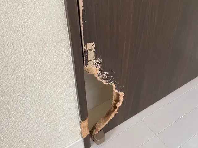 お客様のお力になります！経験と知識を活かして迅速丁寧に作業いたしますサービスの画像