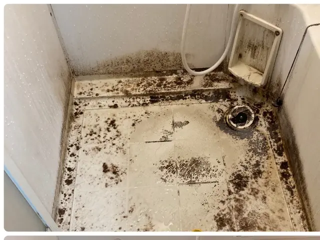 【夫婦で対応します♪】P代無料！鏡ウロコ エプロン 水垢 徹底洗浄☆お任せ下さいサービスの画像