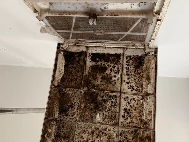 【安心の損害保険加入済◎】プロの技術で納得の仕上がりに！ご要望にお応えします！サービスの画像