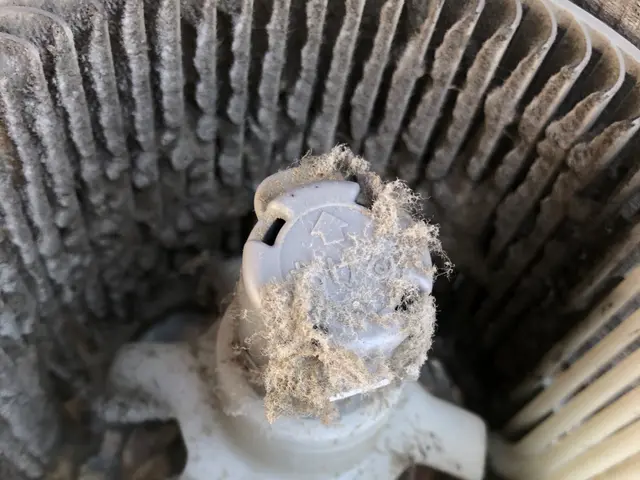 豊富な経験と知識で安心！仕上がり重視で丁寧に作業いたします！サービスの画像