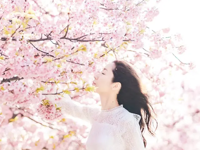 ●魅力溢れる自分、自社の発信を！●