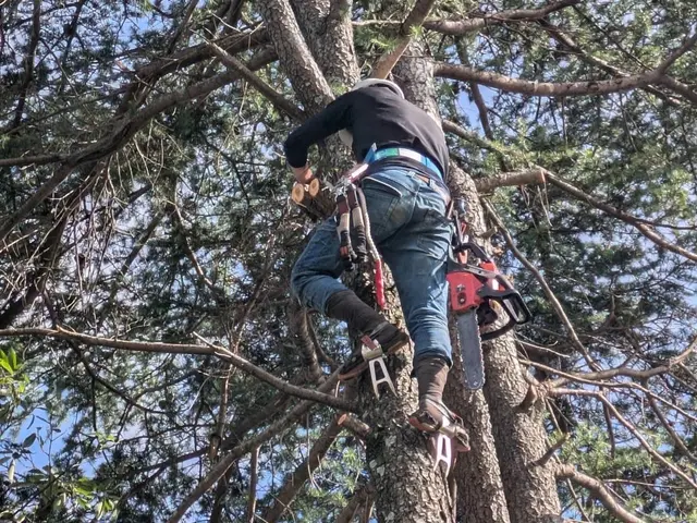 ◆予約から作業まで100%自社対応◎営業時間外も対応可◎アフターフォロー万全サービスの画像