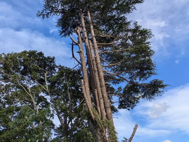 ◆予約から作業まで100%自社対応◎営業時間外も対応可◎アフターフォロー万全サービスの画像