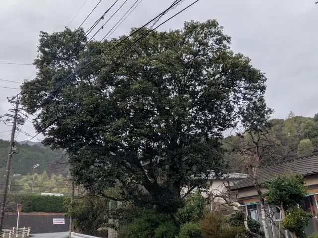 ◆予約から作業まで100%自社対応◎営業時間外も対応可◎アフターフォロー万全サービスの画像