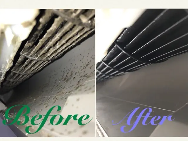 強力な高圧洗浄☆抗菌コート無料☆選べる3種の洗剤‪☆‪複数台割引‪☆エコ洗剤使用サービスの画像