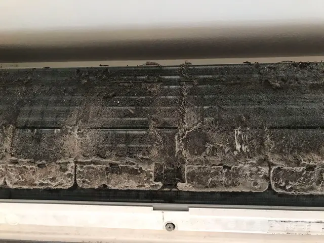 強力な高圧洗浄☆抗菌コート無料☆選べる3種の洗剤‪☆‪複数台割引‪☆エコ洗剤使用サービスの画像