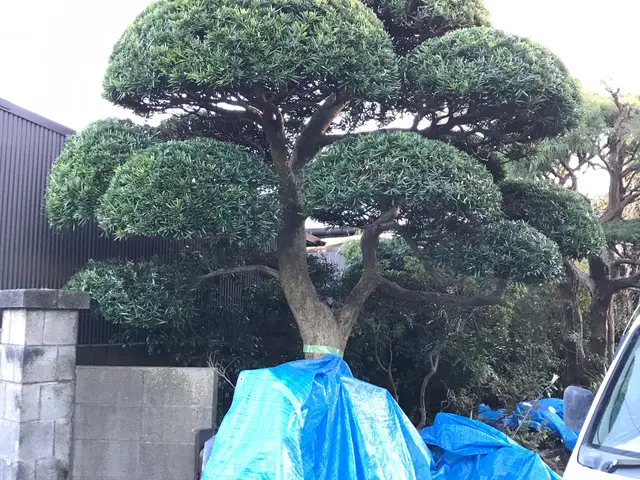 「庭園管理士」として草刈りなどにも対応　迅速・丁寧！⦿対応地域外もご相談可能サービスの画像