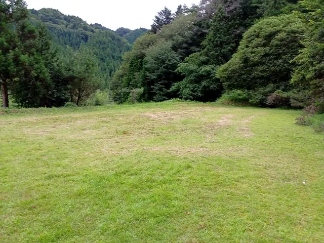 お庭の雑草、すっきりキレイにします◆現金・オンライン決済可能◆サービスの画像