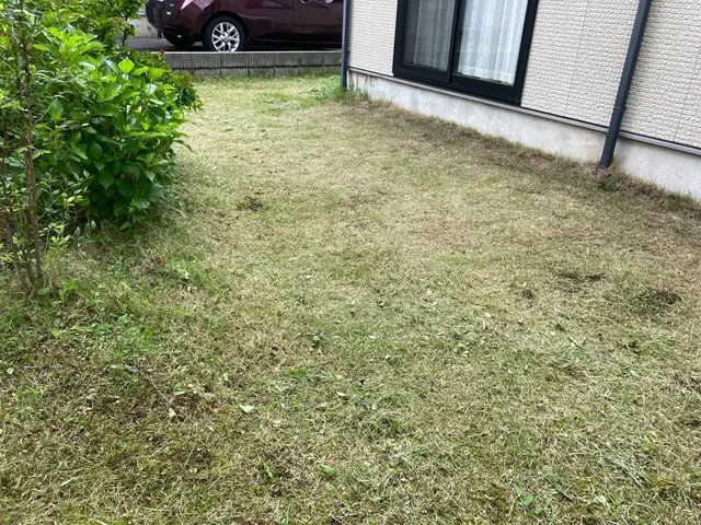 お庭の雑草、すっきりキレイにします◆現金・オンライン決済可能◆サービスの画像