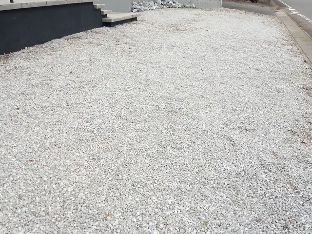 【草むしり】群馬県内指定地域密着！作業外注一切なし！サービスの画像