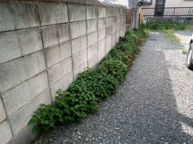 【草むしり】群馬県内指定地域密着！作業外注一切なし！サービスの画像