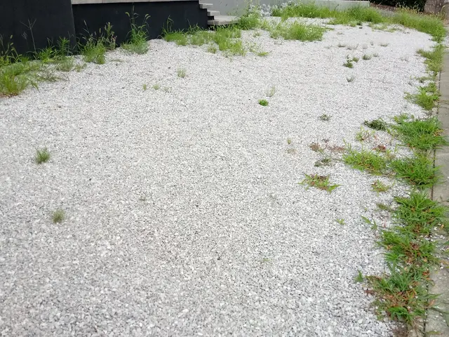 【草むしり】群馬県内指定地域密着！作業外注一切なし！サービスの画像