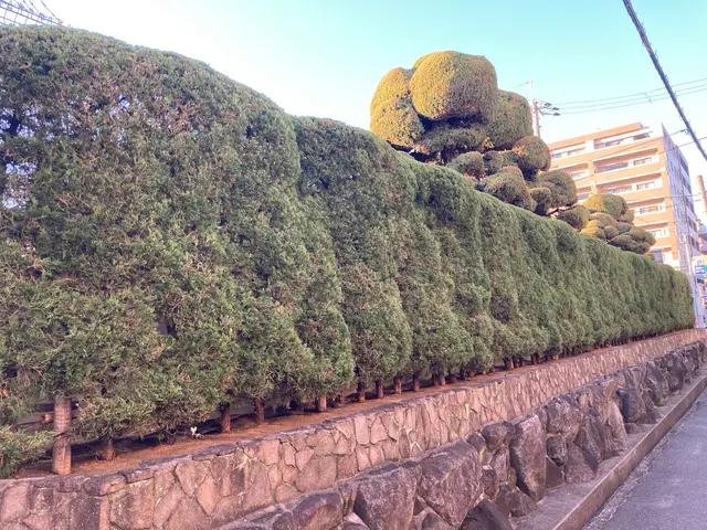 ＜業界35年！年中無休！＞駐車場代は当店負担◎作業外注なし、100％自社対応！サービスの画像