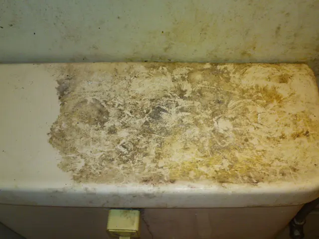 [最短4/26〜丁寧・安心] 8500円　男性スタッフ対応サービスの画像