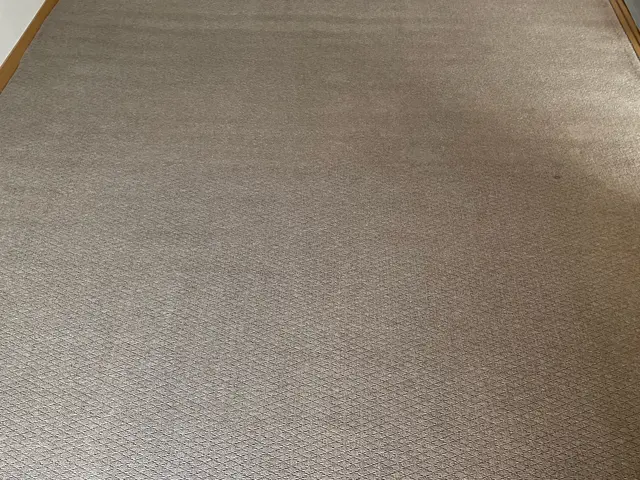 飲食店、クリニック、オフィスのカーペットをキレイにします！インボイス◎サービスの画像