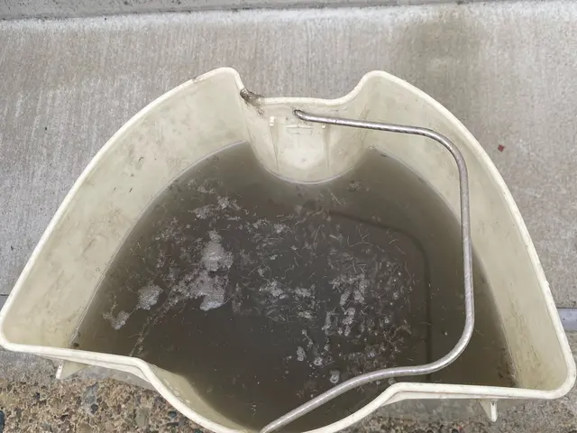 飲食店、クリニック、オフィスのカーペットをキレイにします！インボイス◎サービスの画像