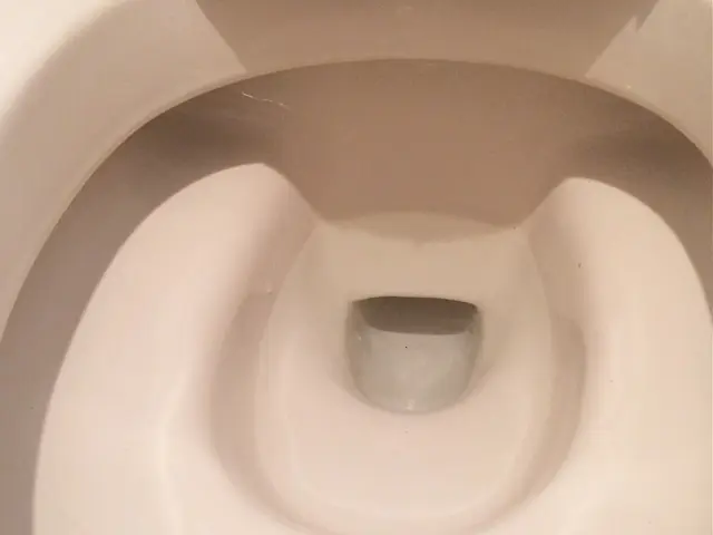 [女性スタッフが同行！] 任せて安心！細かい丁寧な作業が大好評！サービスの画像