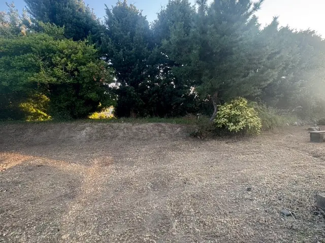 【草刈りの時期です！】『エコオールマイト』にお任せを！サービスの画像