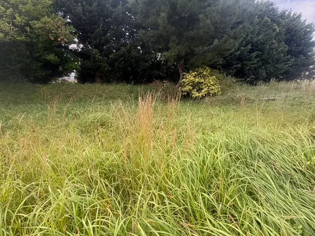 【草刈りの時期です！】『エコオールマイト』にお任せを！サービスの画像