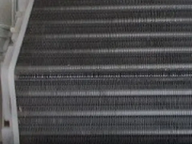 《お子様、ペットに安心のエコ洗剤使用》丁寧な作業に自信あり、宇都宮のお掃除店ですサービスの画像