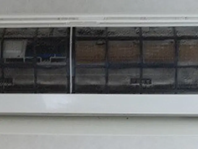 《お子様、ペットに安心のエコ洗剤使用》丁寧な作業に自信あり、宇都宮のお掃除店ですサービスの画像