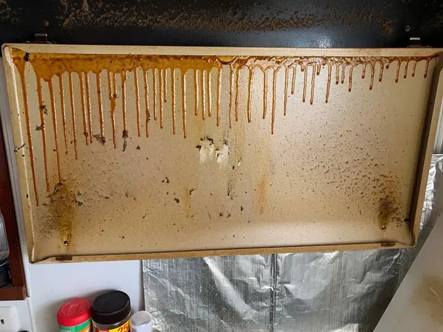 ☆子育て世代に人気【アワード2年連続受賞】☆サービスの画像