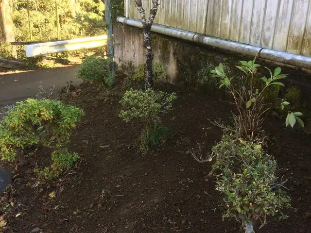 庭木の剪定お任せください！一本一本丁寧に仕上げします♪サービスの画像