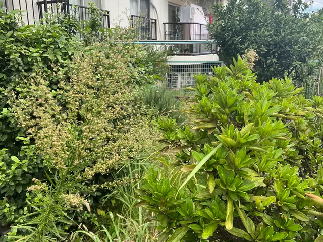 ご相談やご質問だけでも全然良いですよ！　ご相談やご質問だけなら０円ですからね！サービスの画像