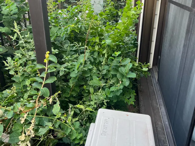 ご相談やご質問だけでも全然良いですよ！　ご相談やご質問だけなら０円ですからね！サービスの画像