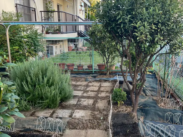 ご相談やご質問だけでも全然良いですよ！　ご相談やご質問だけなら０円ですからね！サービスの画像