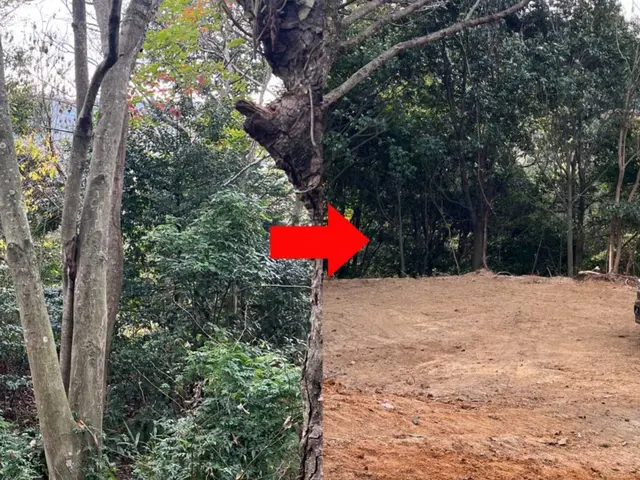 専用重機完備！店長直接対応で山の開拓からお庭まで対応可能な伐採・土地整備サービスの画像