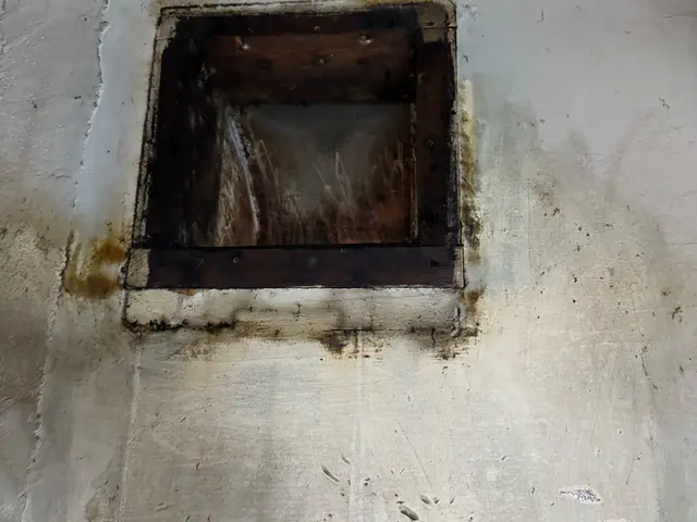 換気扇周りの油汚れや埃など、スッキリ落とします！サービスの画像