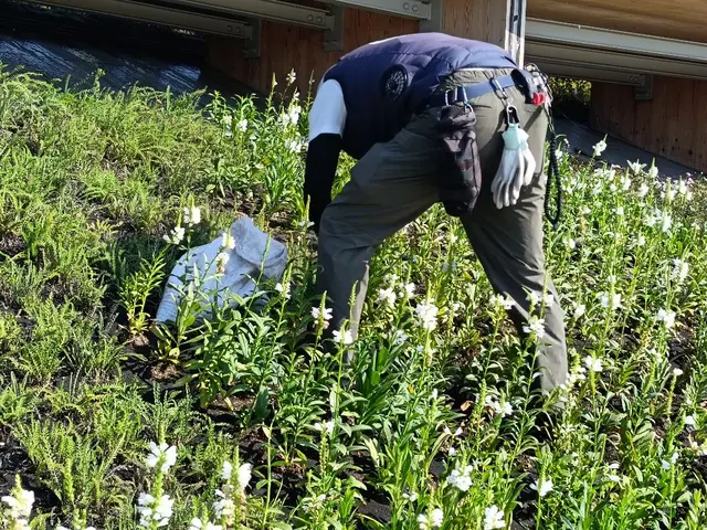 【EXPO経験者が彩る】エントランス・華やぎコーディネートサービスの画像