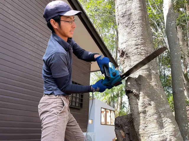 空き地やお庭の木の伐採はお任せください！サービスの画像