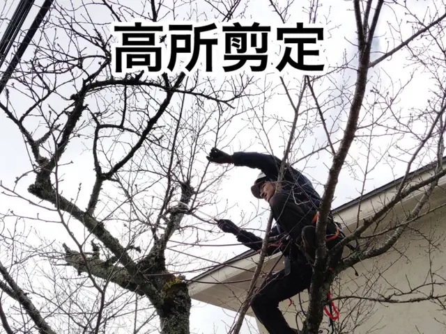 「庭の美しさ再発見」サービスの画像