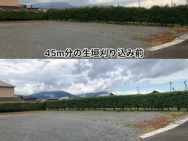 「庭の美しさ再発見」サービスの画像