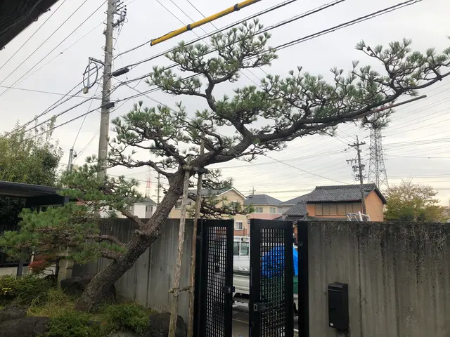 お庭まるごとケアサービスサービスの画像