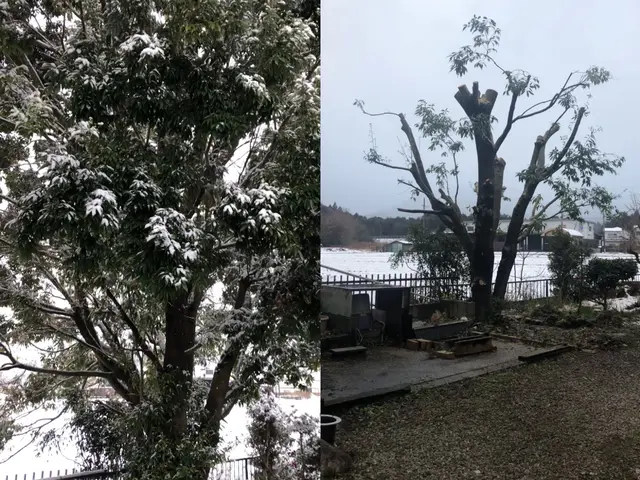 お庭まるごとケアサービスサービスの画像