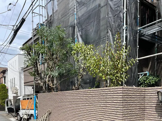 『自然樹形の剪定』の美しさを！日程はメッセージにて要相談！お見積もり致します。サービスの画像