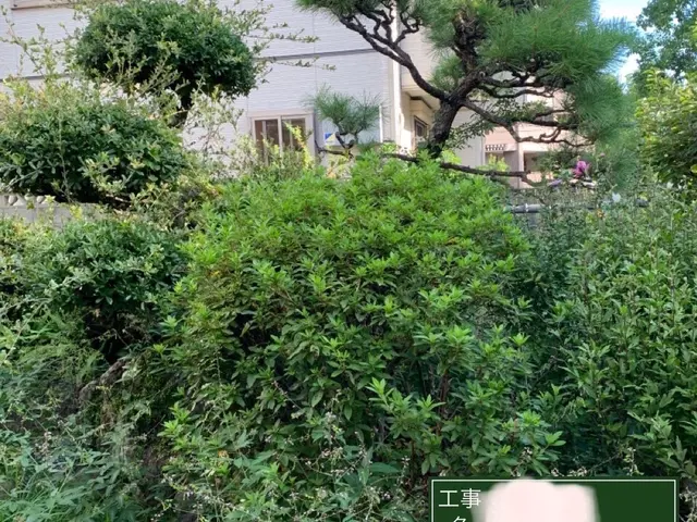 剪定して陽が入るよう◎春先まで綺麗なお庭を◎サービスの画像
