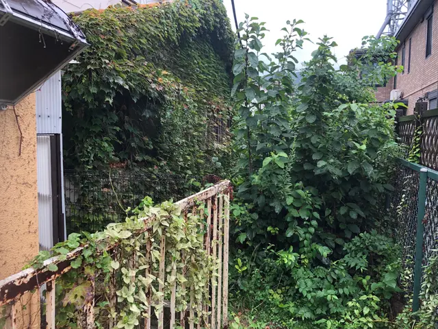 剪定して陽が入るよう◎春先まで綺麗なお庭を◎サービスの画像