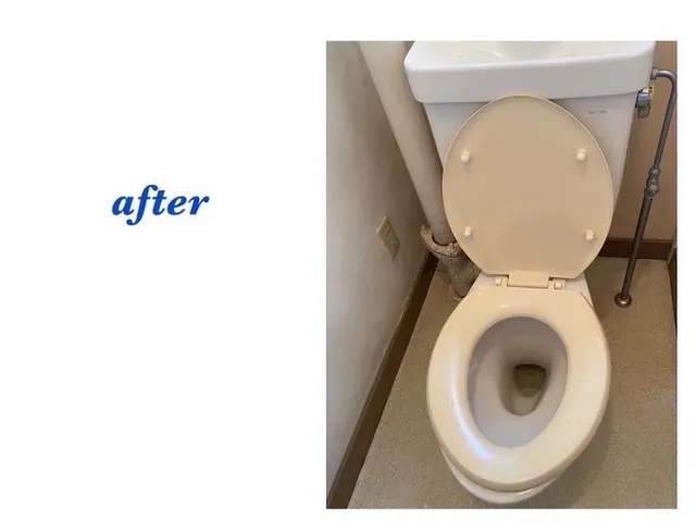 トイレクリーニングサービスの画像