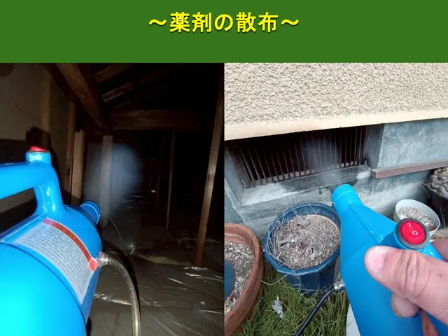 【安心の地元業者】ネズミ追い出し、再侵入予防のプロフェッショナルI【無料調査】サービスの画像