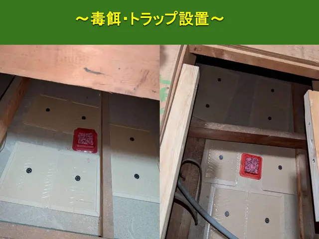 【安心の地元業者】ネズミ追い出し、再侵入予防のプロフェッショナルI【無料調査】サービスの画像