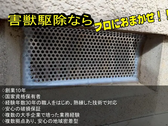 【安心の地元業者】ネズミ追い出し、再侵入予防のプロフェッショナルI【無料調査】サービスの画像