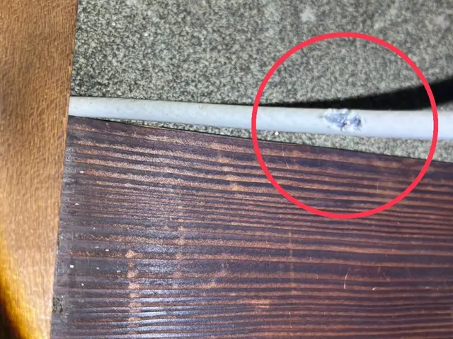 【現地調査☆無料】害獣駆除のプロにお任せ下さい！防除作業監督者が行う再侵入予防！サービスの画像