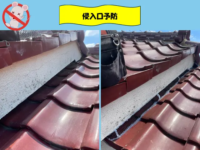 【現地調査☆無料】害獣駆除のプロにお任せ下さい！防除作業監督者が行う再侵入予防！サービスの画像