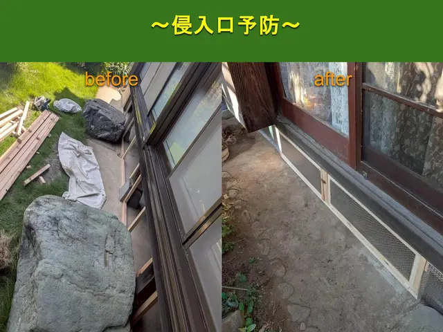 【安心の地元業者】ネズミ追い出し、再侵入予防のプロフェッショナルI【無料調査】サービスの画像