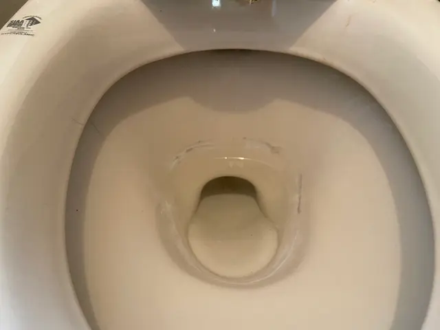 ＜経験10年以上＞ご要望に合わせて真心込めて丁寧に対応します！損害保険加入済み◎サービスの画像