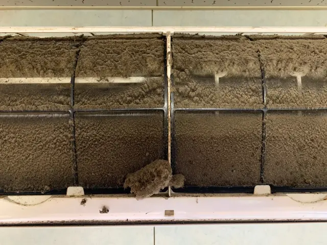 【安心の損害保険加入済◎】プロの技術で納得の仕上がりに！複数台割引あり！サービスの画像